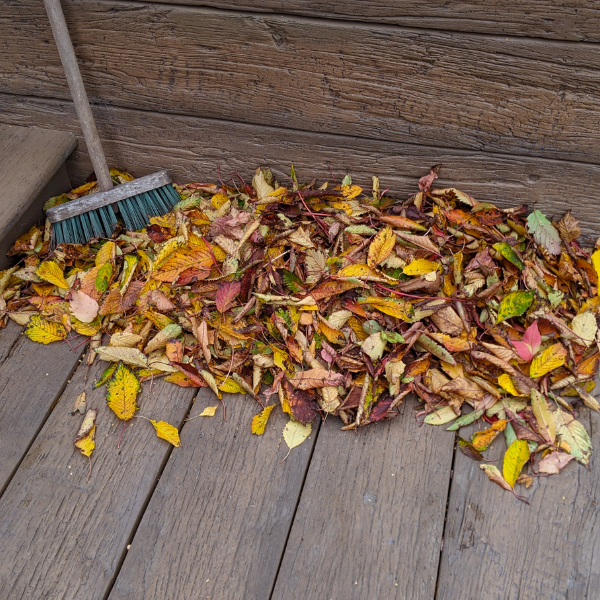 Sweeping a decking board